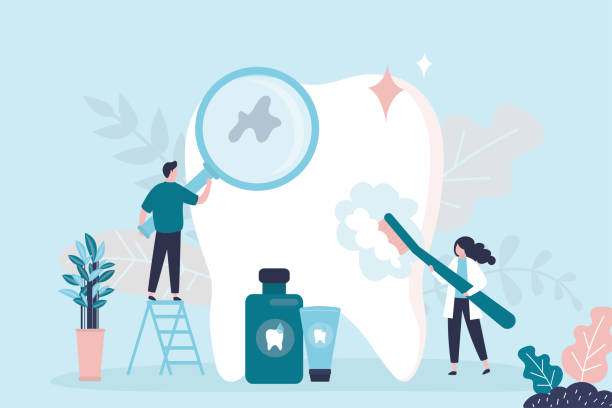 Professional  Holistic Dental Services in Conrad, MT
